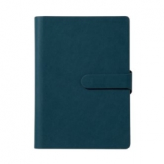 피콕그린 자석 스프링 다이어리 25절