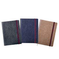 레이나 스프링 다이어리 40절