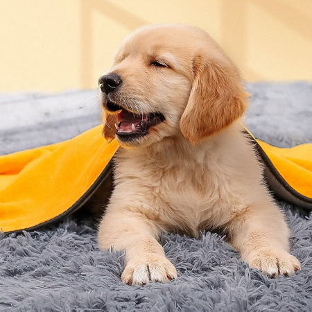 P006 강아지 애견 수건 고양이 펫 타월 애견용품 대형 목욕타올 인쇄 주문제작 #2