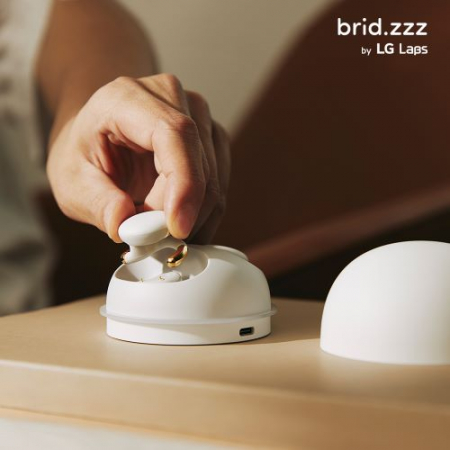 LG브리즈 이어폰 SLDHF1 #3