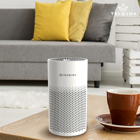 트리아이나 소형 공기청정기 TN-R22 #3