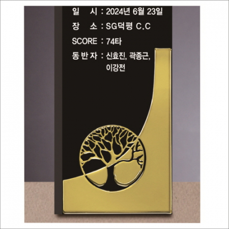 크리스탈 홀인원 골프 트로피 255 #4