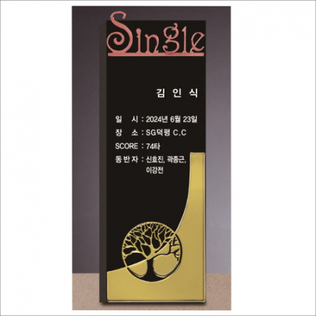 크리스탈 홀인원 골프 트로피 255 #2