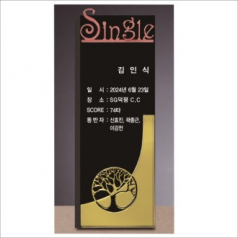 크리스탈 홀인원 골프 트로피 255