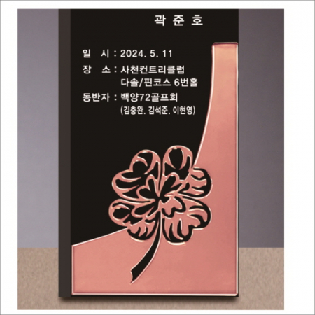 크리스탈 이글 골프트로피 256 #4