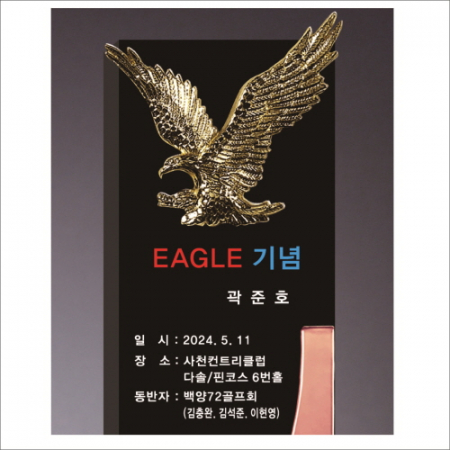 크리스탈 이글 골프트로피 256 #3