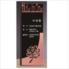 크리스탈 홀인원 골프 트로피 253