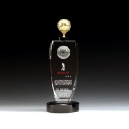 하늘빛 3009 상패제작 골프 크리스탈 나무 순금 홀인원 트로피 감사 칠순 환갑 부모님 퇴직 공로 이글 싱글 대회우승 기념 문진 고급 #2