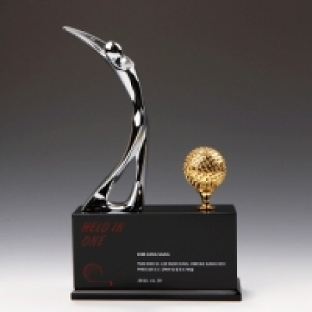 하늘빛 3097 상패제작 골프 크리스탈 나무 순금 홀인원 트로피 감사 칠순 환갑 부모님 퇴직 공로 이글 싱글 대회우승 기념 문진 고급 #2