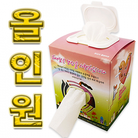 기성전도콤보물티슈(물티슈+넵킨티슈) #2