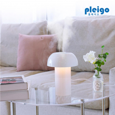 플레이고 W600 듀얼분사 무드등 저소음 미니가습기 600ml #2