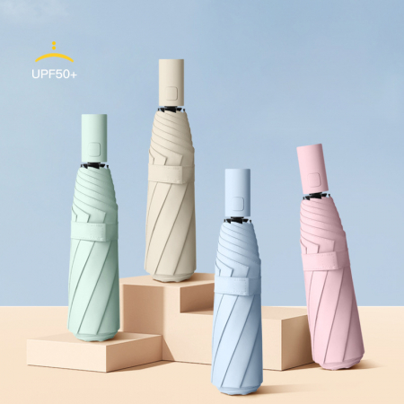 숄라 8K 3단 자동 양우산 #2