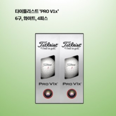 타이틀리스트 PRO V1x 하프더즌 6구 로고