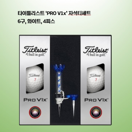 타이틀리스트 PRO V1x 자석티세트 6구 로고 #2