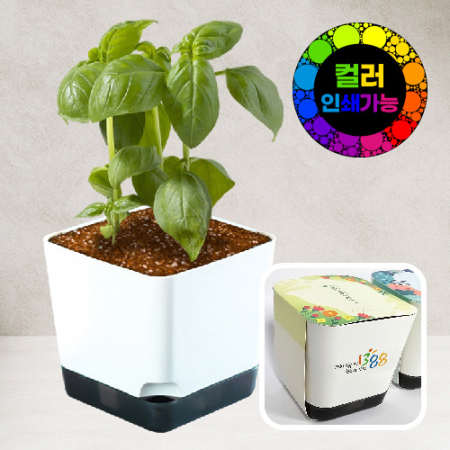 화이트사각화분 8x8 // 컬러인쇄가능 #2