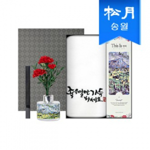 가정의달 명화 디퓨저 카네이션 타올 선물세트(디퓨저120ml1+좋은일만가득하세요1)