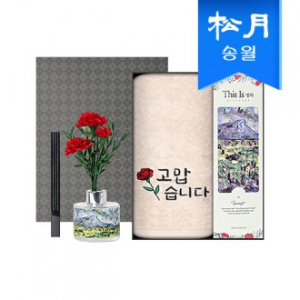 가정의달 명화 디퓨저 카네이션 타올 선물세트(디퓨저120ml1+러브유1)