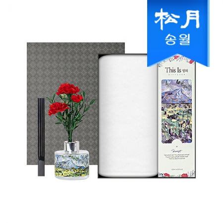 가정의달 명화 디퓨저 카네이션 타올 선물세트, 디퓨저120ml1+뉴컬러무지1 #2