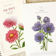 갤러리 도안 색칠공부 치매예방 컬러링북 // 국내생산