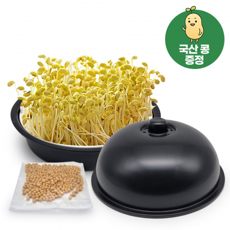 쿡투맘 콩나물/새싹 재배기 + 국산콩 증정 #2