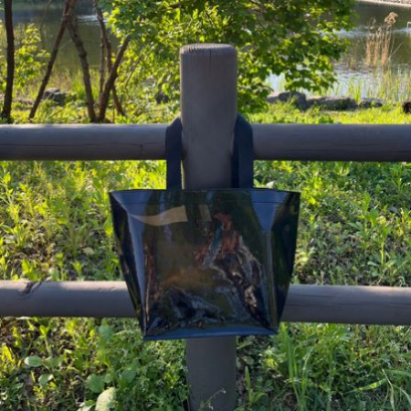 데일리 반투명 타포린백 #2