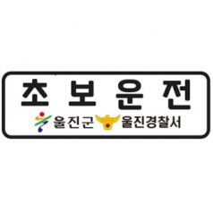 고휘도 형광 반사 스티커 -차량용 220x70mm