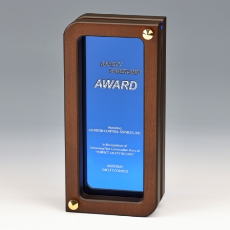 우드 다보크리스탈상패 K2025) 534-1 #2