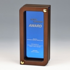 우드 다보크리스탈상패 K2025) 534-1