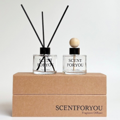 FINE 센트포유 디퓨저120ml + 차량용디퓨저120ml 2구 세트 D35