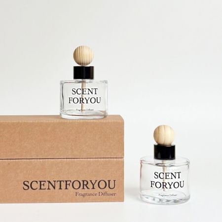 FINE 센트포유 차량용디퓨저 120ml 2구 D34 #4