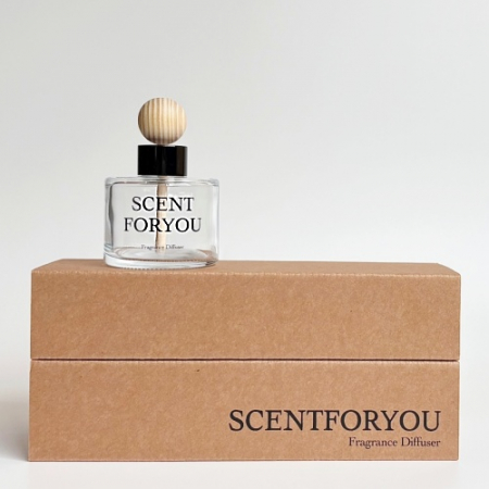 FINE 센트포유 차량용디퓨저 120ml 1구 D33 #2