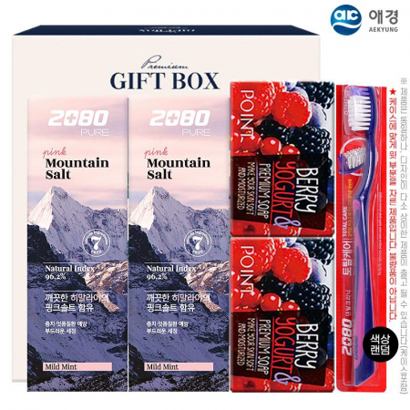 애경 2080히말라야핑크솔트치약100g2P 포인트베리비누2P 2080토탈케어칫솔(5종) #2