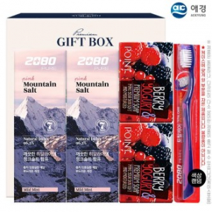 애경 2080히말라야핑크솔트치약100g2P 포인트베리비누2P 2080토탈케어칫솔(5종)