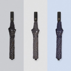 피에르가르뎅 2단 댄디 자동우산