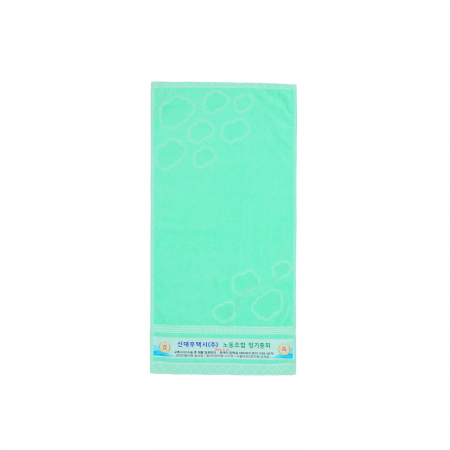 CN 하이디 전사 #5