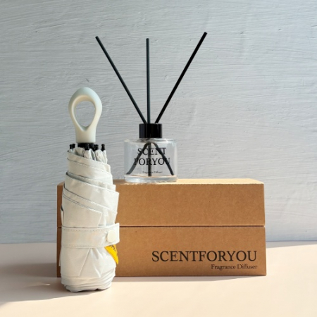 FINE 센트포유 디퓨저 120ml 1구 + 초경량 멀티고리 5단우산세트 SU26 #3