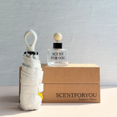 FINE 센트포유 차량용디퓨저 120ml 1구 + 초경량 멀티고리 5단우산세트 SU25