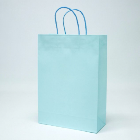 친환경 모조 쇼핑백 블루 2호 #2