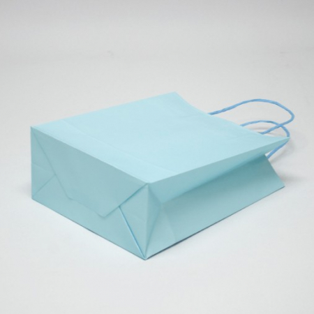 친환경 모조 쇼핑백 블루 1호 #6