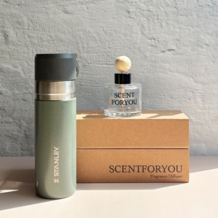 FINE 센트포유 차량용디퓨저 120ml 1구 +스탠리 고진공슬림보틀세트 D44 #2