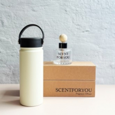 FINE 센트포유 차량용디퓨저 120ml 1구 + 카리브텀블러세트 D41