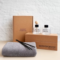 FINE 센트포유 실내용+차량용디퓨저 120ml  + 수건세트 D46