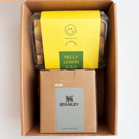 센트포유 스탠리 클래식진공 캠프머그354ml+레몬즙 스틱28P세트 SS42 #3