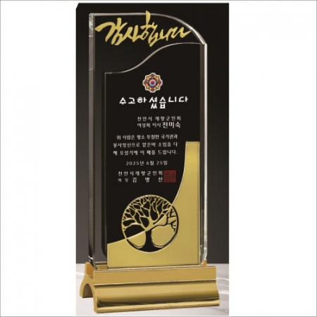 무지금속받침 나무 크리스탈 상패 #2