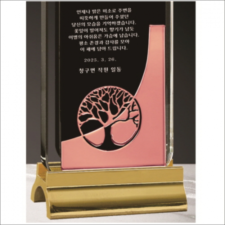 무지금속받침 나무 브론즈 크리스탈 상패 #4
