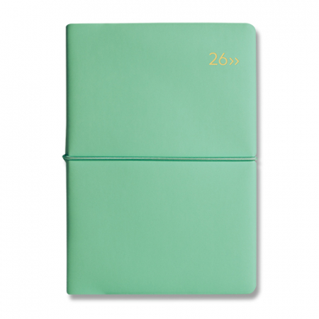 2026 DV PRO1 밴드식 32절 다이어리 #8