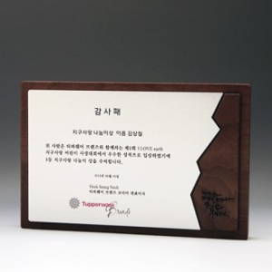 감사 위촉 공로 고급패 E5161