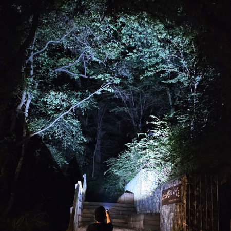 비센드 BS-T30S 슬림형 휴대용 LED 손전등 후레쉬 #9