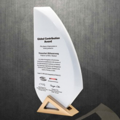 감사 위촉 공로 상패 DS12-24-1