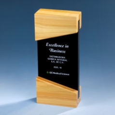 핸디형 우드크리스탈 상패 K2026) 112-1